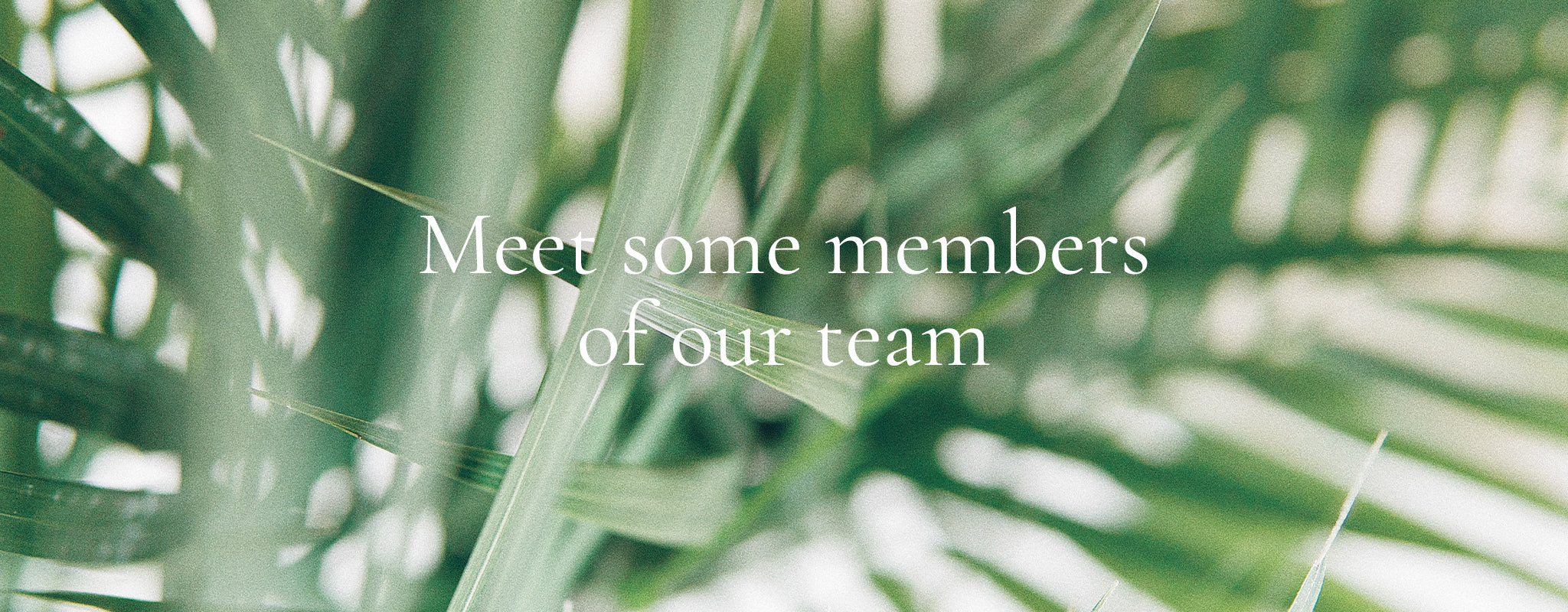 Meet some members of our team